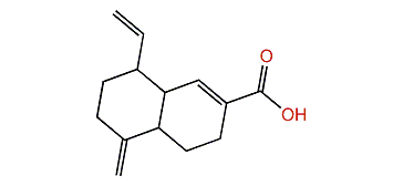 Khusilal acid